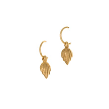 Load image into Gallery viewer, Urartu - Hoop Drop Earrings in Gold Plate. Made in the USA