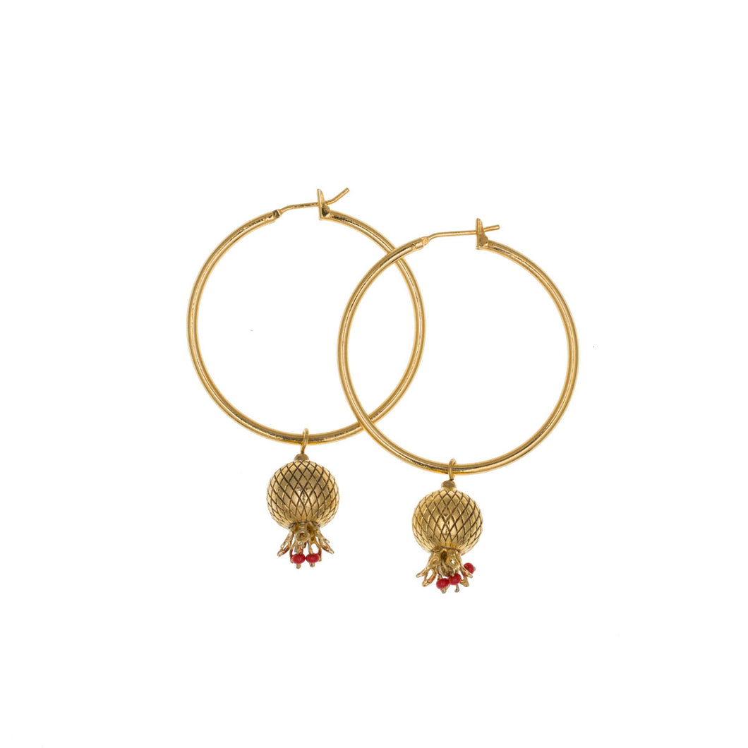 Golden Pomegranates - Hoop Drop Earrings in Gold Plate