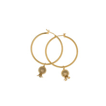 Load image into Gallery viewer, Golden Pomegranates - Hoop Drop Earrings  in Gold Plate
