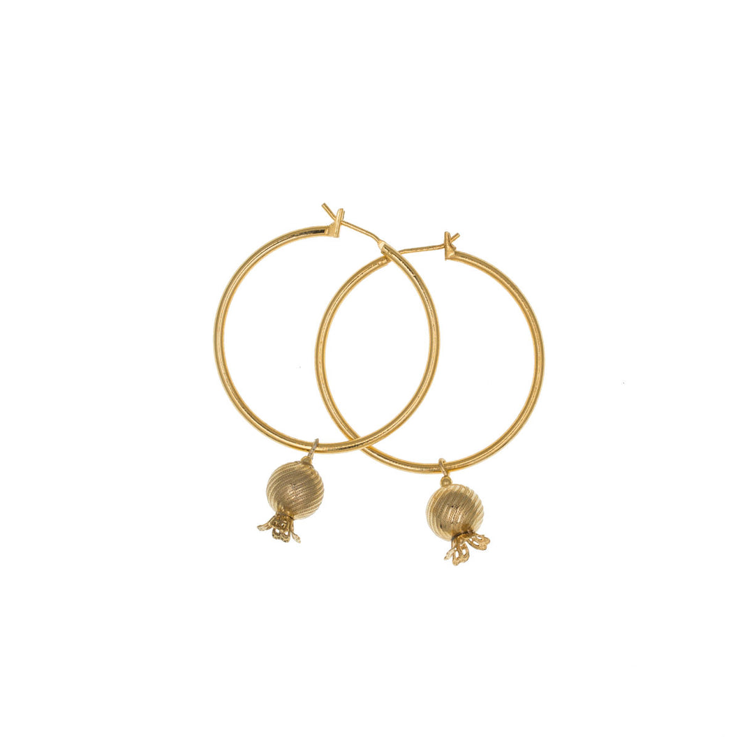 Golden Pomegranates - Hoop Drop Earrings  in Gold Plate